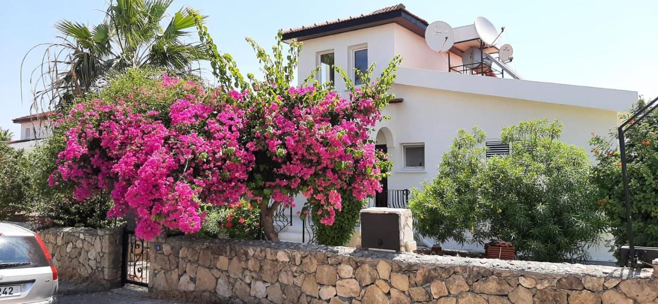 Villa Bougainvillea With Privite Pool Vasilia Exterior foto