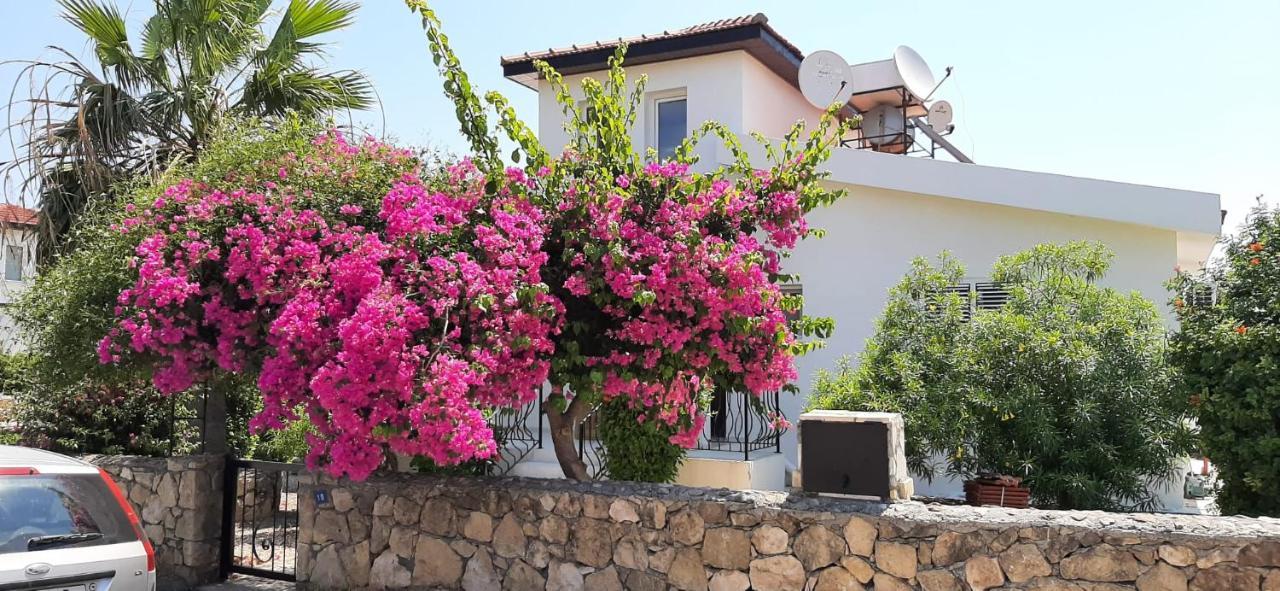 Villa Bougainvillea With Privite Pool Vasilia Exterior foto
