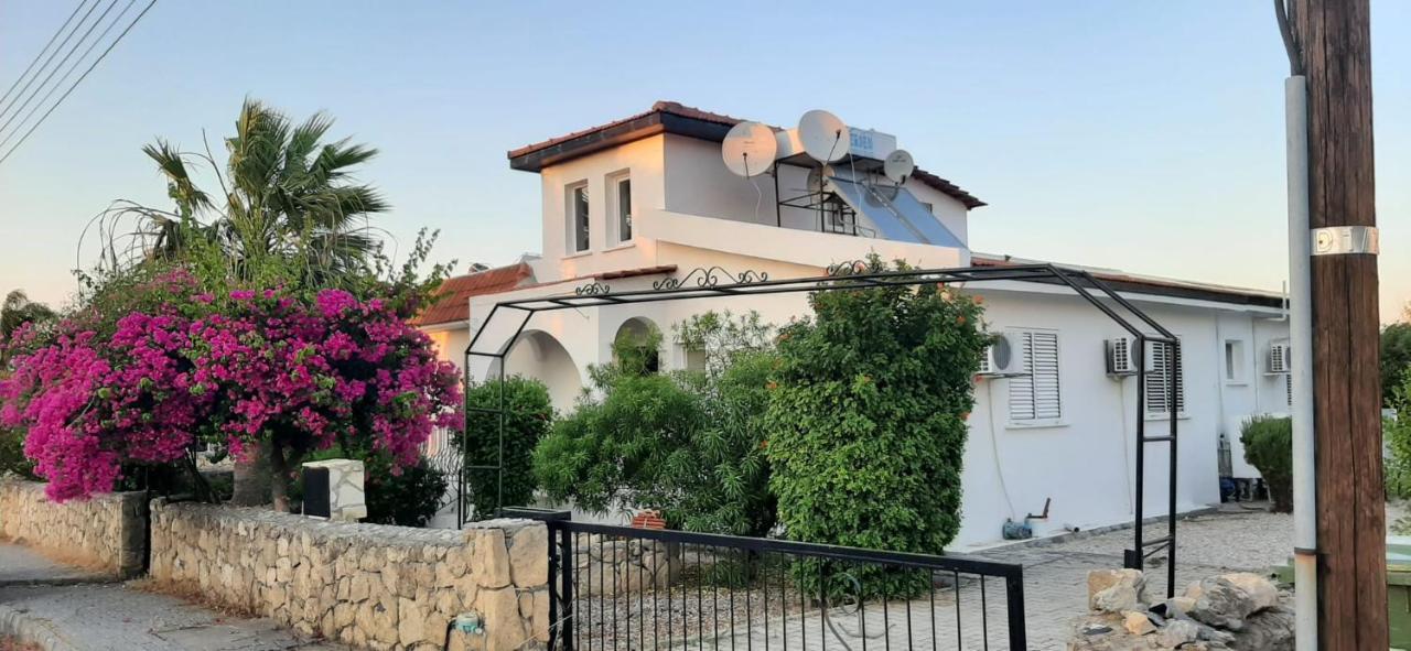 Villa Bougainvillea With Privite Pool Vasilia Exterior foto